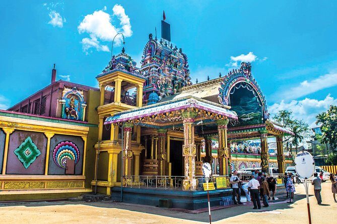 Private Day Trip to Sigiriya & Dambulla from Kandy – Aaliya Tours - Stop 4: Minneriya National Park elephant time in the afternoon
