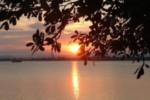 Private Polonnaruwa Sightseeing Day Tour from Sigiriya - Price and value: $71.43 per group of up to 4
