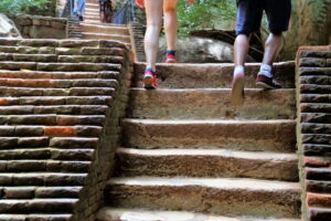 Sigiriya: Rock Fortress Private Guided Walking Tour - The Walk to the Palace Complex: Steps, Ruins, and Pacing