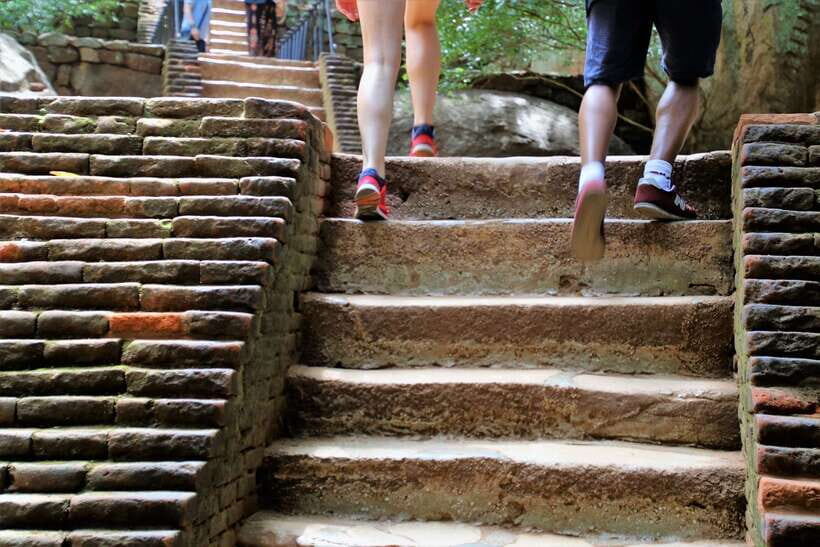 Sigiriya: Rock Fortress Private Guided Walking Tour - The Walk to the Palace Complex: Steps, Ruins, and Pacing