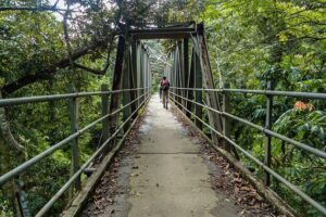 Sinharaja Rainforest Private Half Day Tour with Licensed Guide - Your licensed guide and what you’ll learn in plain language