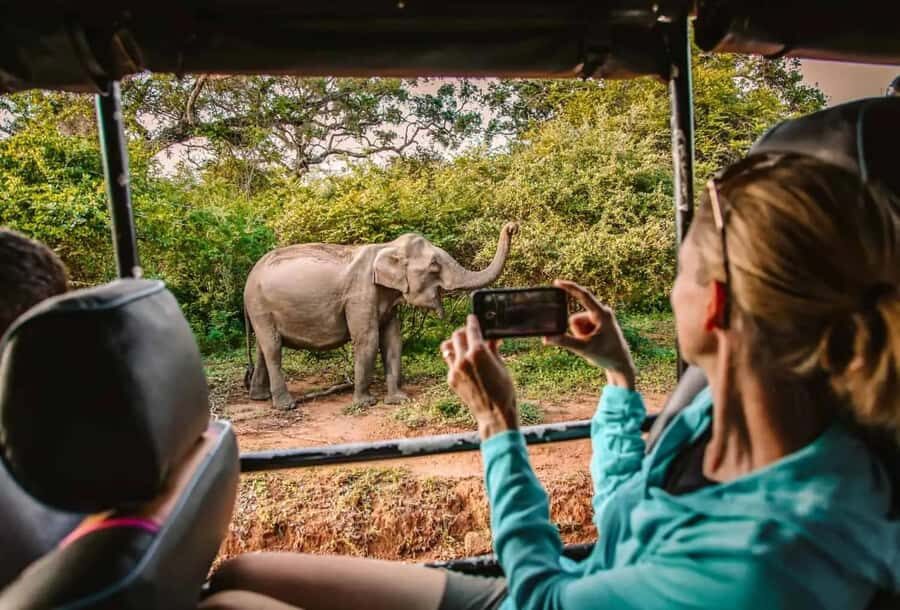 SKIP THE LINE - YALA SAFARI TOUR - Incl. ENTRY TICKETS - Getting to the park: pickup options and 4x4 comfort