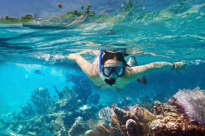 Snorkeling in Unawatuna - Price and value: what you’re really paying for at $40