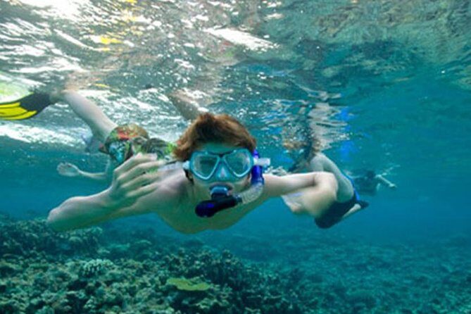 Snorkeling in Unawatuna - From meeting point to sea time: the flow of a 2-hour session