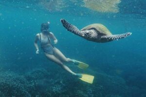Snorkeling with Turtles in Mirissa - No Boat, Just Shore Snorkeling Off Mirissa