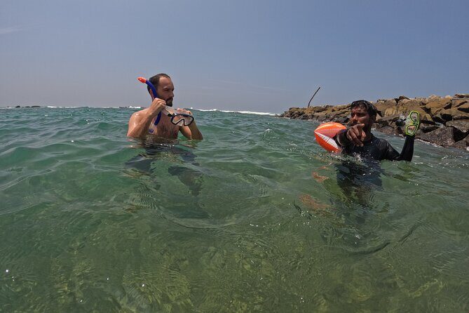 Snorkeling with Turtles in Mirissa - The Parrot Rock Session: How You Actually Find Turtles