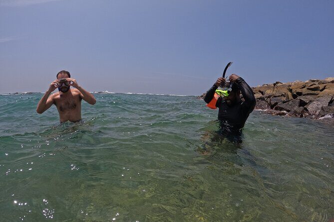 Snorkeling with Turtles in Mirissa - Gear, Safety, and Help for New Snorkelers