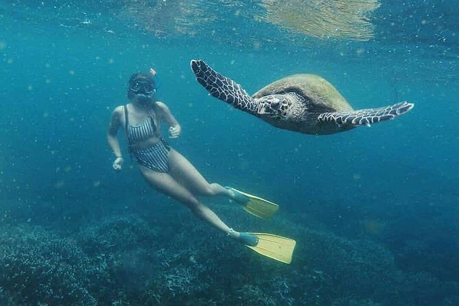 Snorkeling with Whales in Mirissa - What Happens Once You Find Whales: Short Swim vs. Longer Sessions