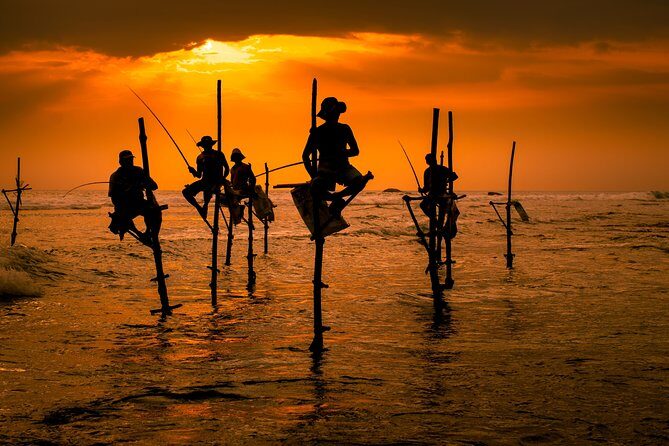Southern Sri Lanka Sightseeing Day Trip From Colombo & Negombo - Timing and Return Logistics from Colombo or Negombo