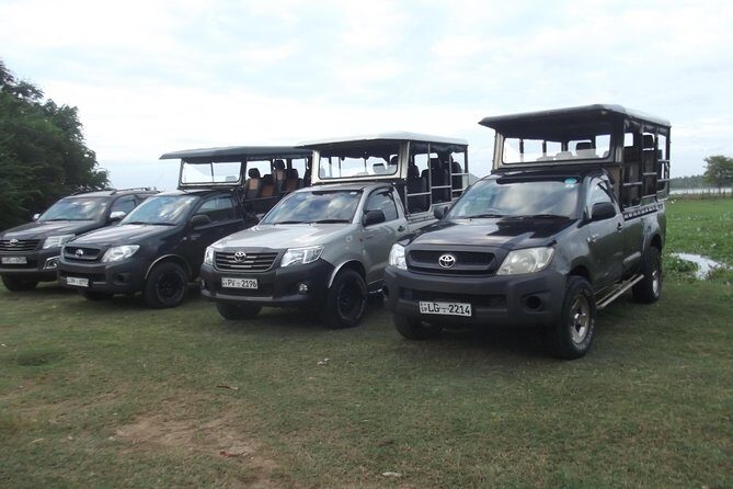 Special leopards safari Yala National park - 04.30 am to 11.30 am - Key things to know before you go on the special leopard safari