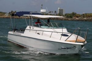 Sports Boat- Private Whale Watching Trip( free breakfast & paid pick-up) - What you’ll actually do on the water (and what makes Mirissa special)