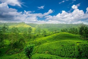 Sri Lanka 7 Days Tour - Day 1 vibe check: why this first day works