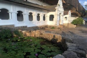 Sri Lanka Tour in 8 Days - Price and logistics: what $539 covers and what you’ll likely pay separately