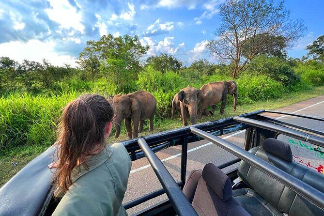 Sri Lanka Travel in 08 Nights 09 Days - Day 2: Sigiriya Rock Fortress plus a tuk tuk village safari