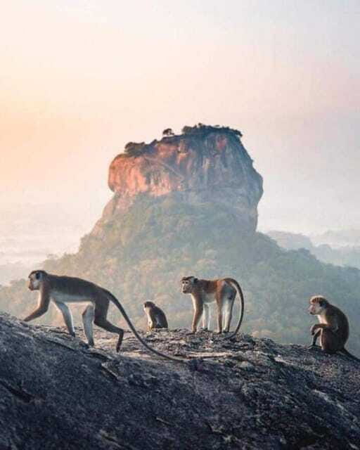 Sunrise or Sunset Hike Pidurangala Rock with Scenic Views - Who should book this hike, and who might not love it
