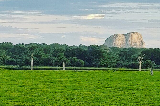 Tours and Transportation in Sri Lanka - Price and value: why $55 can feel fair