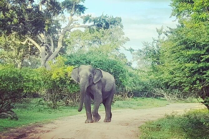 Tours and Transportation in Sri Lanka - Weather and how it can change your day
