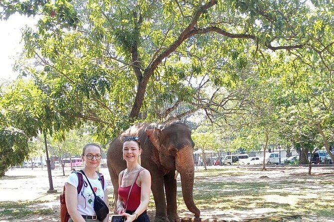 Tuk Tuk Private Tour Exploring Sri Lanka Capital of Colombo - Price and value: what $25 buys in real terms