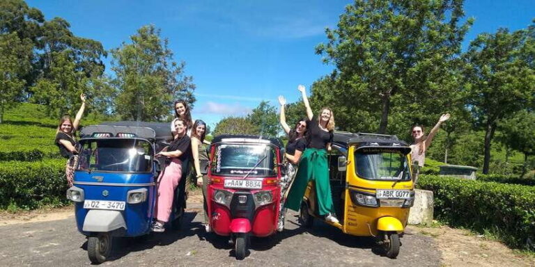 Tuk-Tuk Safari Liptons seat,Tea Fields Hike,TeaFactory Tour - The Tea Fields Hike: Walking Through the Real Plantation World