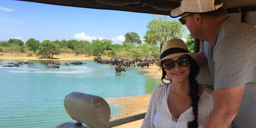 Udawalawa National Park: All-Inclusive Private Day Tour - The 3-hour jeep safari: how the game drive works in practice
