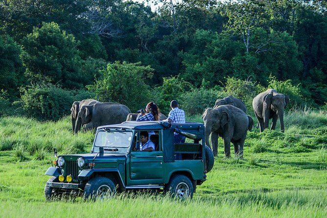 Udawalawe Private Safari frm Hambantota Port by BTM-All Inclusive - Key things to know before you go