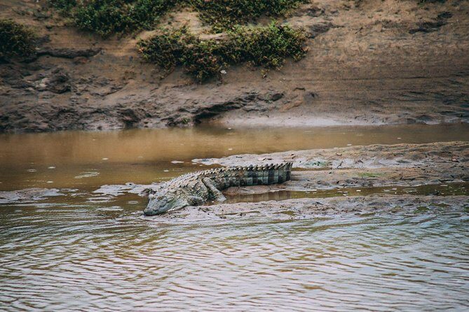 Udawalawe Safari Day Trip with Return Transport - All Inclusive - Price and value: is $180 worth it?