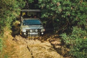 VALUE PACK! One Day Safari Tour to Yala and Udawalawa Parks - Yala National Park: Five hours of guided 4x4 searching