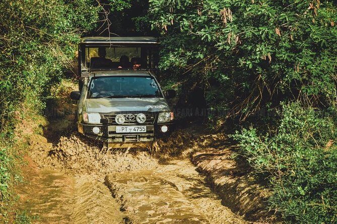 VALUE PACK! One Day Safari Tour to Yala and Udawalawa Parks - Yala National Park: Five hours of guided 4x4 searching