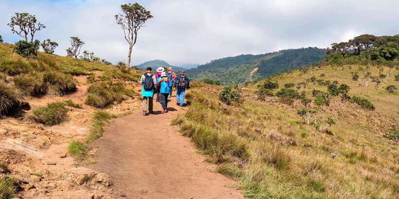 Visit Horton plains and Nuwara Eliya from Ella - Horton Plains reality check: weather, footing, and nature rules