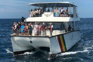 Whale Watching Mirissa with ( WWC ) - Queen Whale comfort: why 45 passengers changes the whole experience