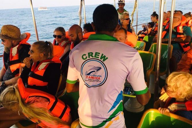 Whales and Dolphins Watching-Luxury Super Grade Cruiser(Hotel Pick up offered) - What You Might See: From Blue Whales to Dolphin Parties