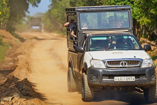 Yala 4h Jeep Safari: Guided Wildlife Experience (All Inclusive) - Hotel transfers and the smooth switch to a safari jeep