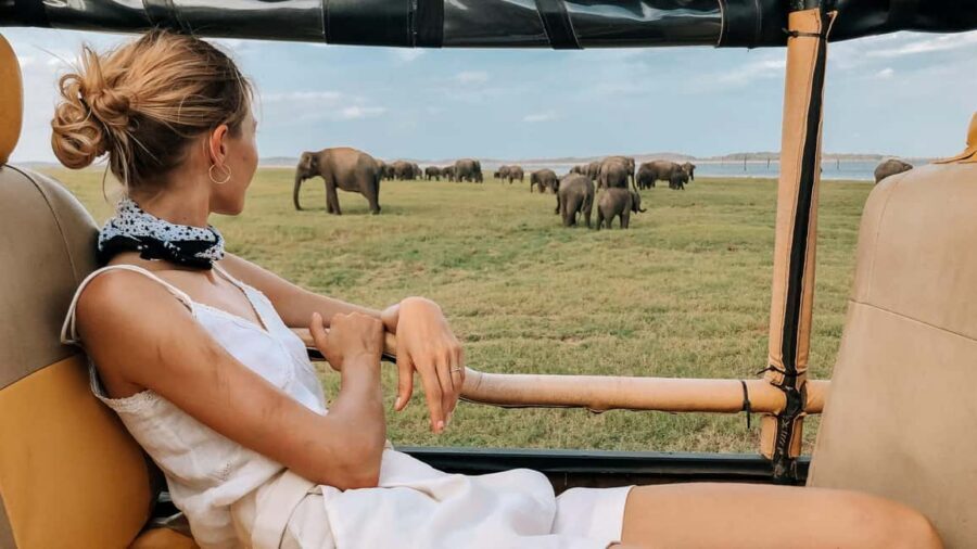 YALA BLOCK 5 & 6 (Weheragala & Lunugamwehera) Safari Tour - Price and real budget: the $35 ticket isn’t the whole number