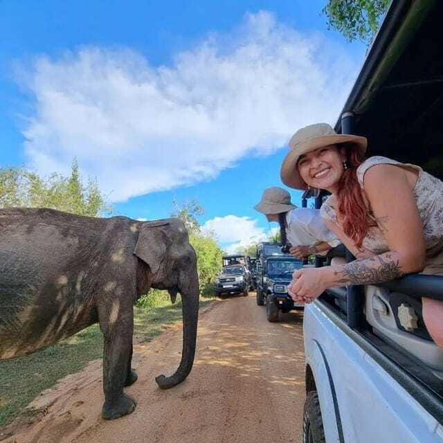 Yala National Park: All Inclusive Private Safari Day Trip - Wildlife Chances: Leopards, Bears, Crocodiles, and Elephants