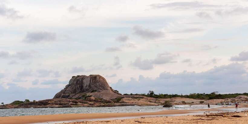 Yala National Park: Half, 7-Hour, or Full-Day Safari & Meals - Yala Leopard Country: why sunrise and sunset matter