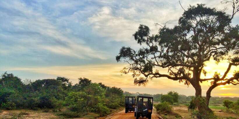 Yala National Park: Half, 7-Hour, or Full-Day Safari & Meals - The 4WD jeep reality: comfort, dust, and what you’ll actually feel