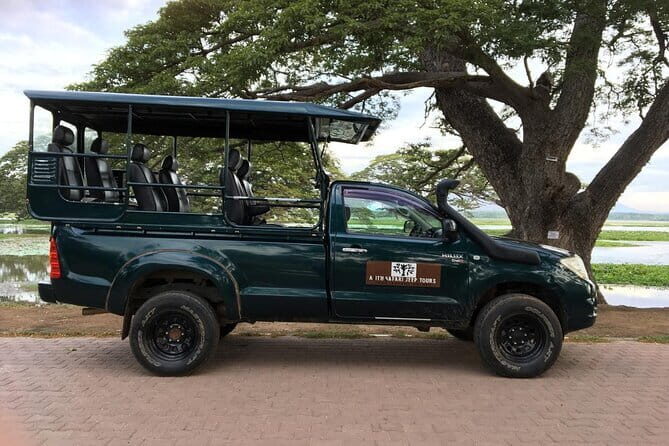 Yala National Park Safari - Half day and Full day - What you can realistically expect to see in Yala (and how to stay flexible)