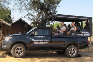 Yala National Park Safari : Special Guided Tour - Your ride: pickup, 4x4 jeeps, and what to expect from the drive