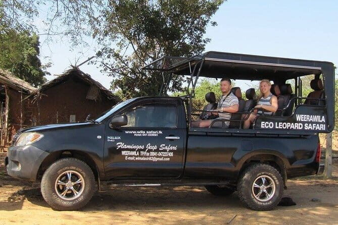 Yala National Park Safari : Special Guided Tour - Your ride: pickup, 4x4 jeeps, and what to expect from the drive