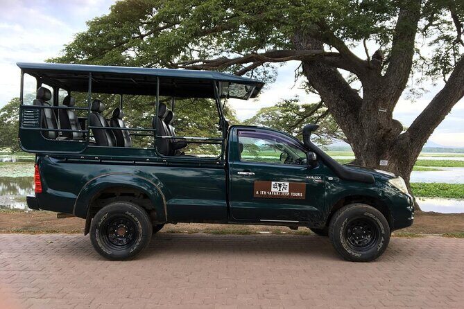 Yala National Park Wildlife Safari/ Game Drive - by Ajith Safari - Key highlights worth knowing before you go