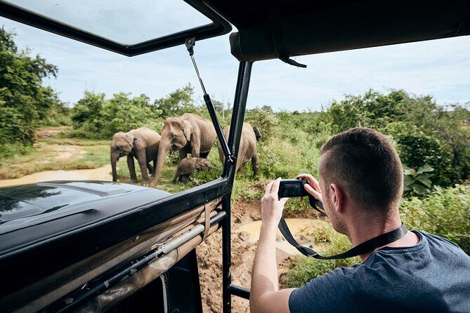 Yala National Park Wildlife Safari/ Game Drive - by Ajith Safari - Entering Yala by jeep: how the experience flows hour to hour