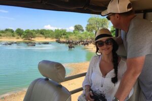 Yala Safari Day Trip from Bentota/ Kalutara/ Ahungalla/ Hikkaduwa - The safari jeep: why the vehicle matters