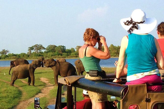 Yala Safari Tour from Hambantota Port (Shore Excursion) - How the jeep ride really works: 4x4 time, photo time, and comfort