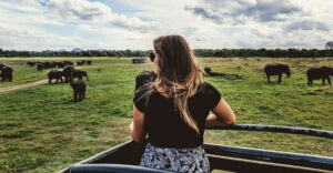 YALA SAFARI TOUR from TANGALLE/HIRIKETIYA/MIRISSA/GALLE - The 3-hour Jeep safari: how sightings really happen